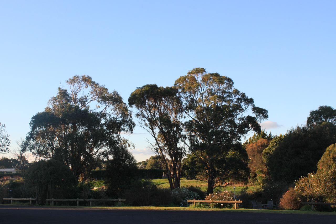 במוטל מאונט גמבייר Mt Gambier International מראה חיצוני תמונה